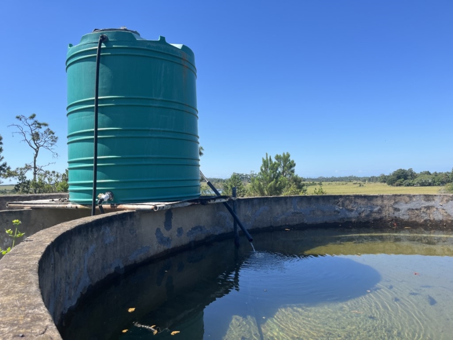 Commercial Property for Sale in Bathurst Rural Eastern Cape